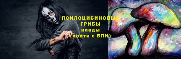 индика Зеленодольск