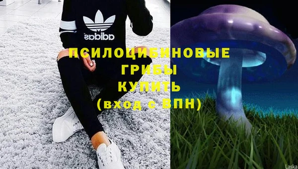 герыч Алексин