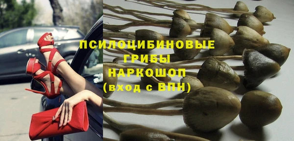 соль ск Алзамай