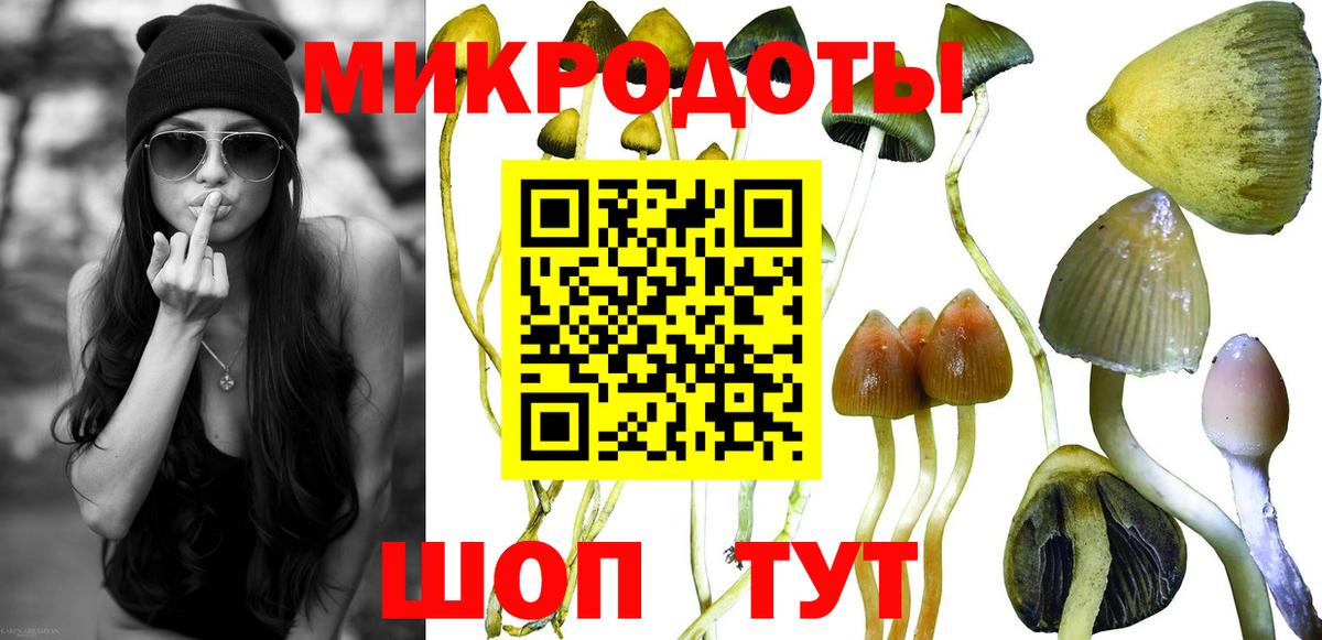 Лобня  Галлюциногенные грибы GOLDEN TEACHER  Вход с VPN 